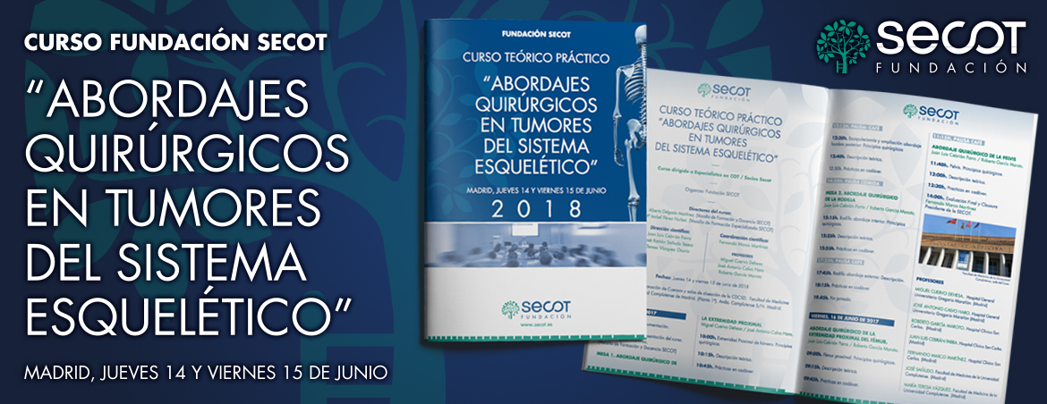 ABORDAJES QUIRÚRGICOS EN TUMORES DEL SISTEMA ESQUELÉTICO