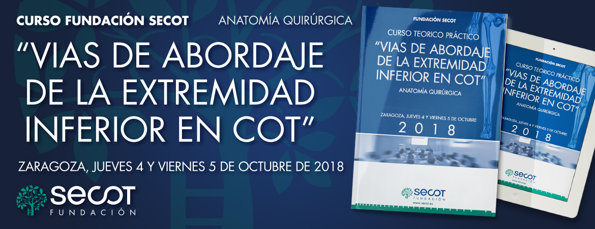CURSO TEÓRICO PRÁCTICO VÍAS DE ABORDAJE DE LA EXTREMIDAD INFERIOR EN COT